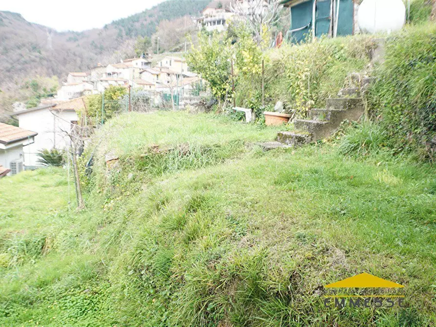 Immagine 3 di Casa indipendente in vendita  a Massa