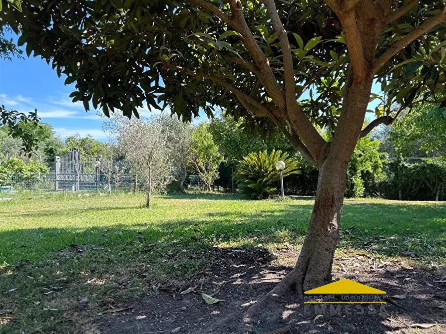 Immagine 2 di Casa indipendente in vendita  a Massa
