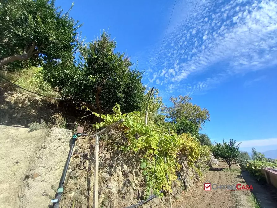 Immagine 4 di Villa in vendita  a Messina