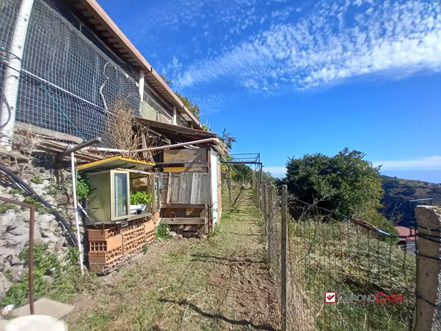 Immagine 2 di Villa in vendita  a Messina