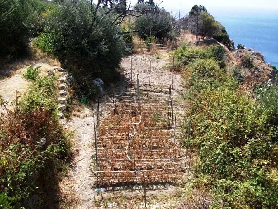 Immagine 9 di Villa in vendita  a Messina