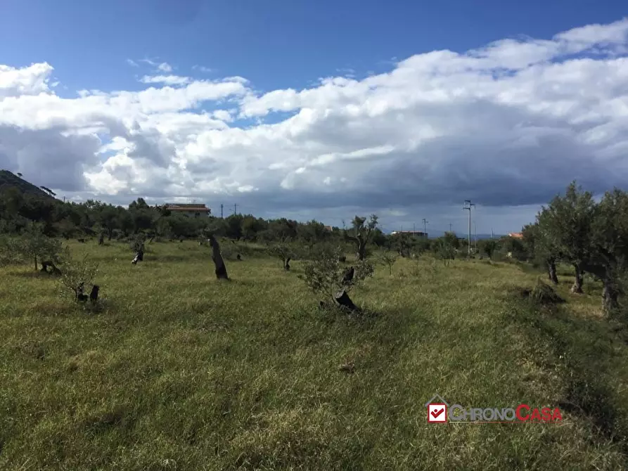 Immagine 4 di Rustico / casale in vendita  a Messina