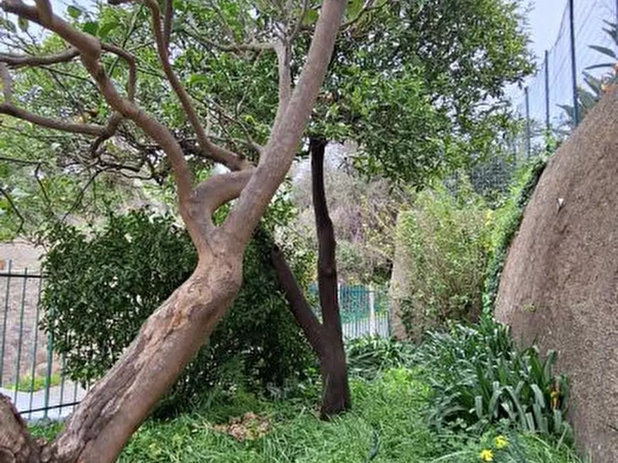 Immagine 3 di Casa semindipendente in vendita  a Messina