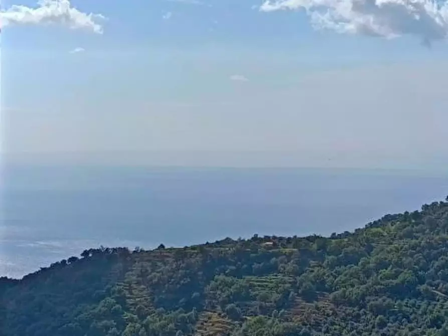 Immagine 8 di Appartamento in vendita  a Ali' Terme