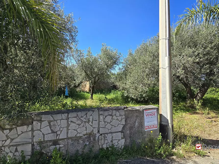 Immagine 1 di Terreno edificabile in vendita  a Pace Del Mela