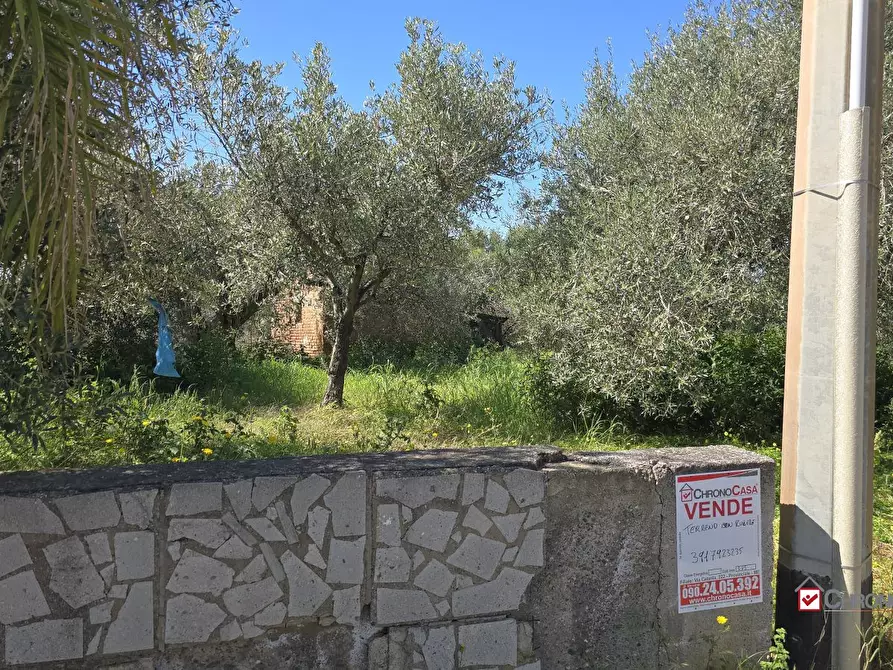 Immagine 10 di Terreno edificabile in vendita  a Pace Del Mela