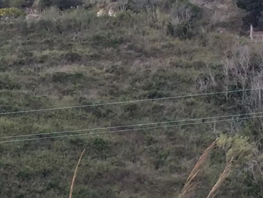 Immagine 5 di Terreno edificabile in vendita  a Messina