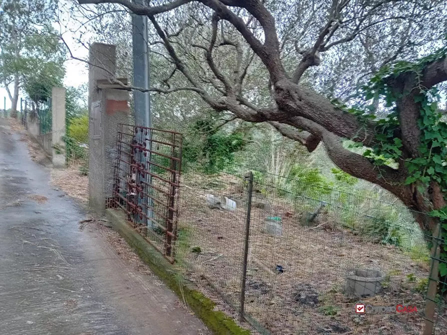 Immagine 4 di Terreno edificabile in vendita  a Messina