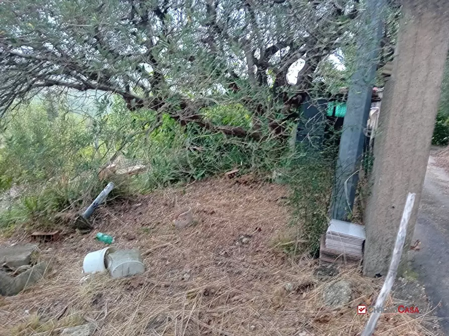 Immagine 2 di Terreno edificabile in vendita  a Messina