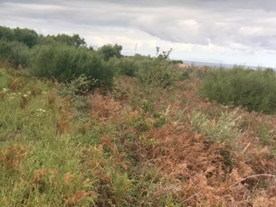 Immagine 6 di Terreno edificabile in vendita  a Messina