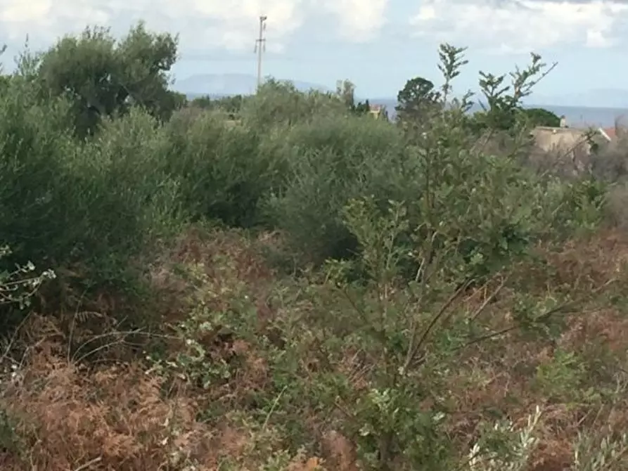 Immagine 9 di Terreno edificabile in vendita  a Messina