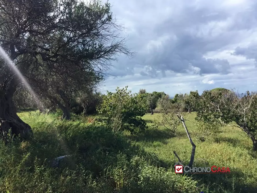 Immagine 1 di Terreno edificabile in vendita  a Messina