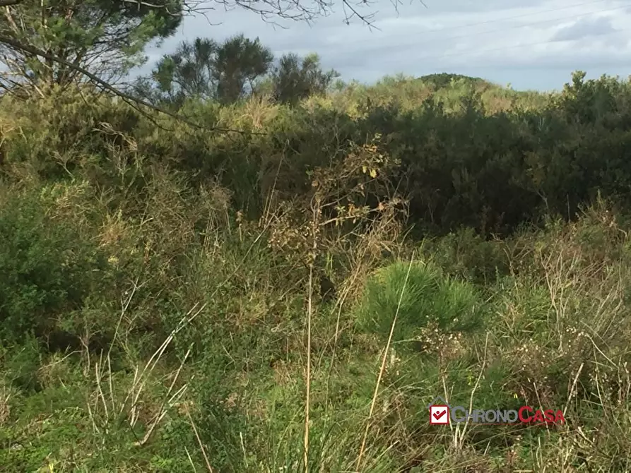 Immagine 1 di Terreno edificabile in vendita  a Messina