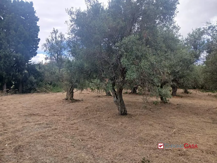 Immagine 8 di Terreno edificabile in vendita  a Caltagirone