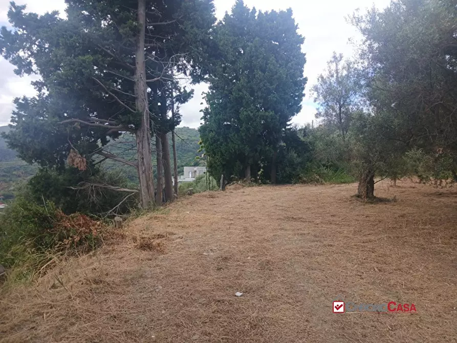 Immagine 9 di Terreno edificabile in vendita  a Caltagirone