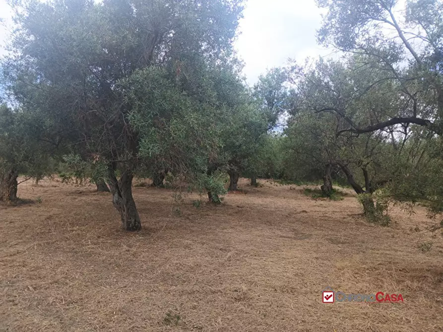 Immagine 1 di Terreno edificabile in vendita  a Caltagirone