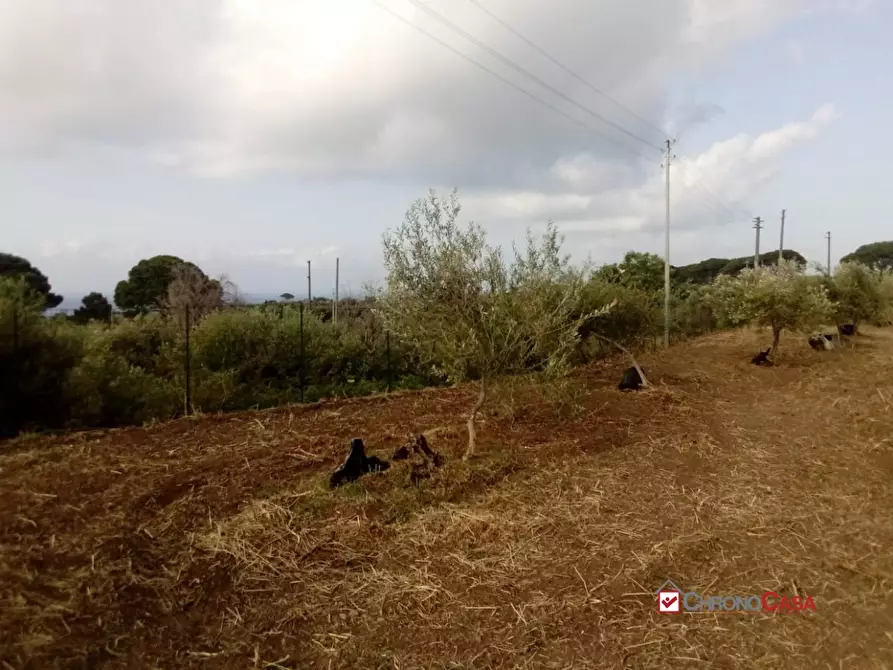 Immagine 8 di Terreno edificabile in vendita  a Messina