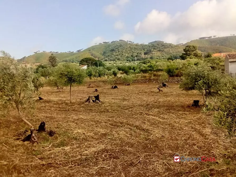 Immagine 9 di Terreno edificabile in vendita  a Messina