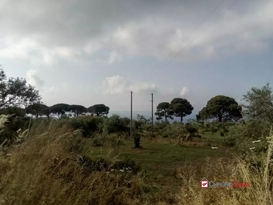 Immagine 7 di Terreno edificabile in vendita  a Messina