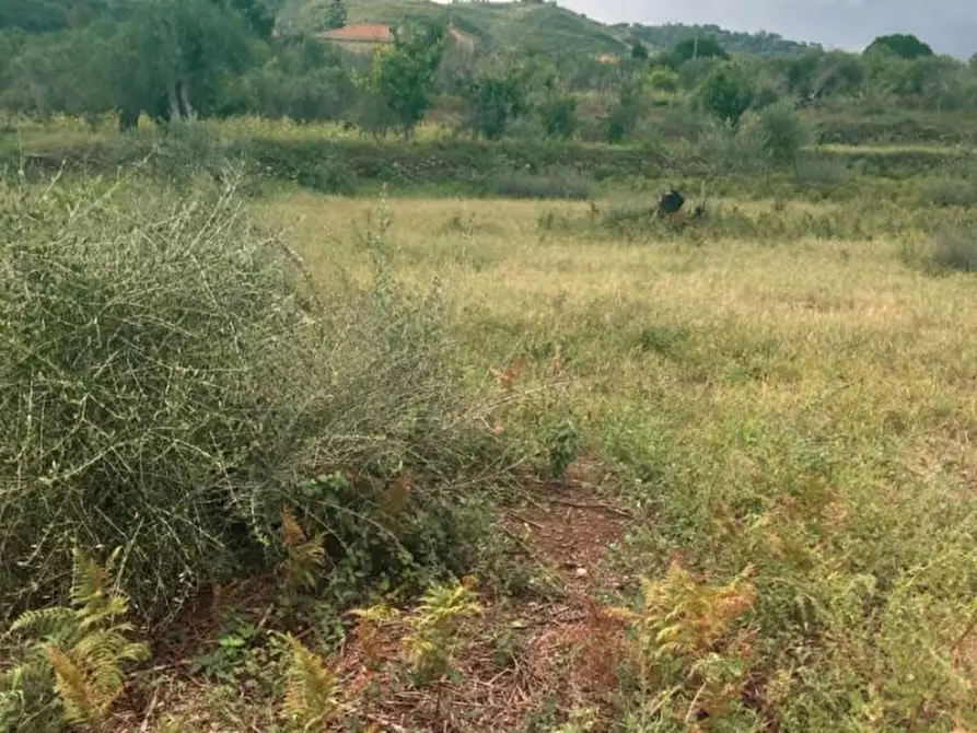 Immagine 4 di Terreno edificabile in vendita  a Messina
