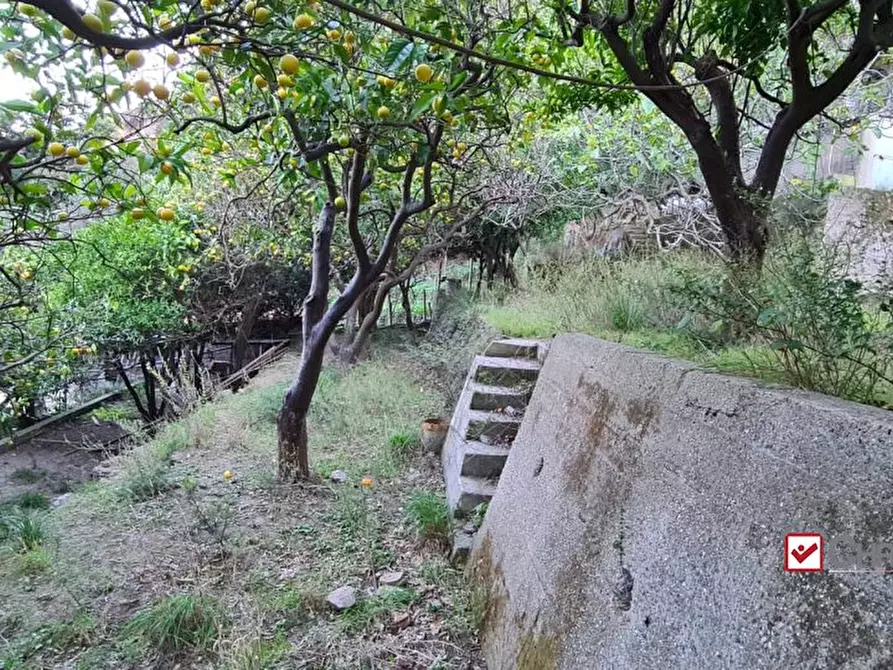 Immagine 3 di Terreno edificabile in vendita  a Messina
