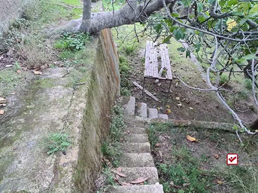 Immagine 4 di Terreno edificabile in vendita  a Messina
