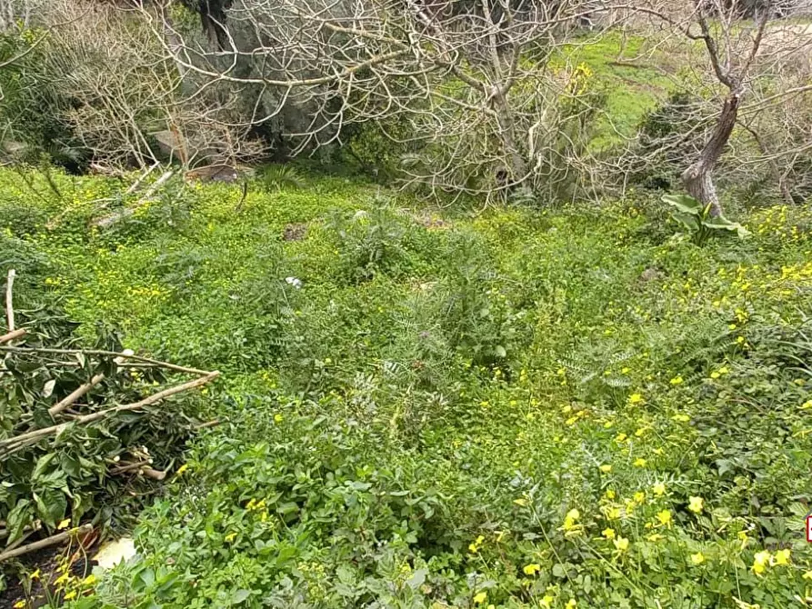 Immagine 4 di Terreno edificabile in vendita  a Messina