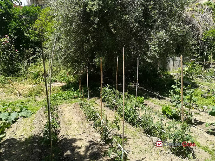 Immagine 8 di Terreno edificabile in vendita  a Messina