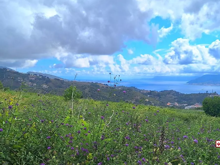Immagine 7 di Terreno edificabile in vendita  a Messina