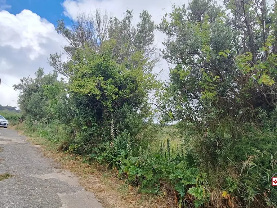 Immagine 6 di Terreno edificabile in vendita  a Messina