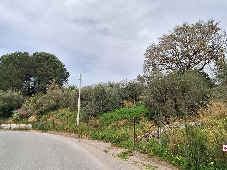 Immagine 4 di Terreno edificabile in vendita  a Rometta