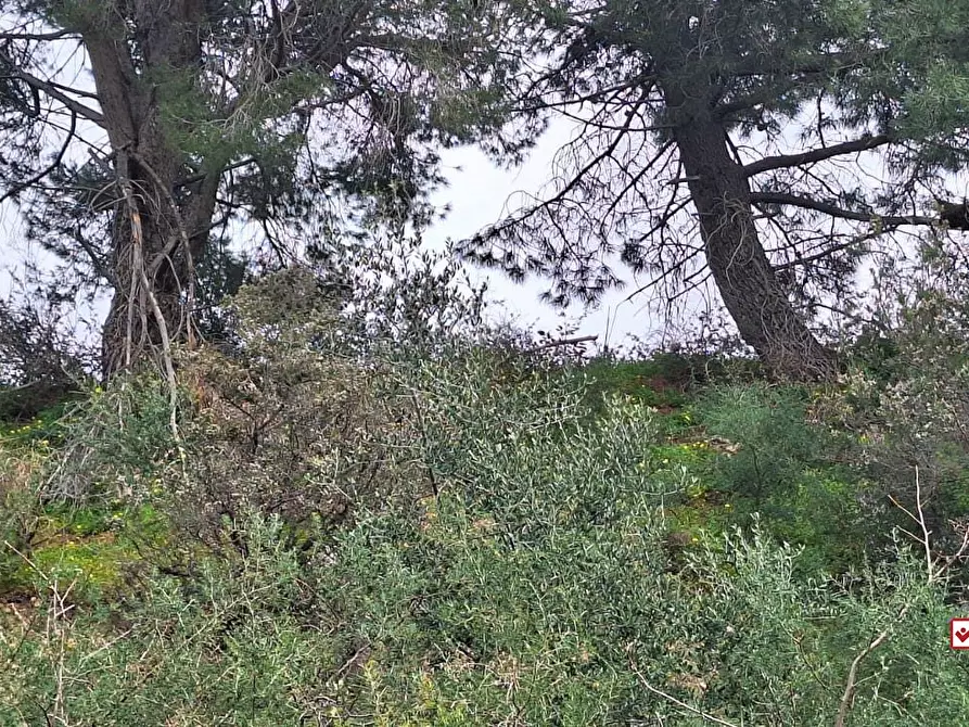 Immagine 3 di Terreno edificabile in vendita  a Rometta