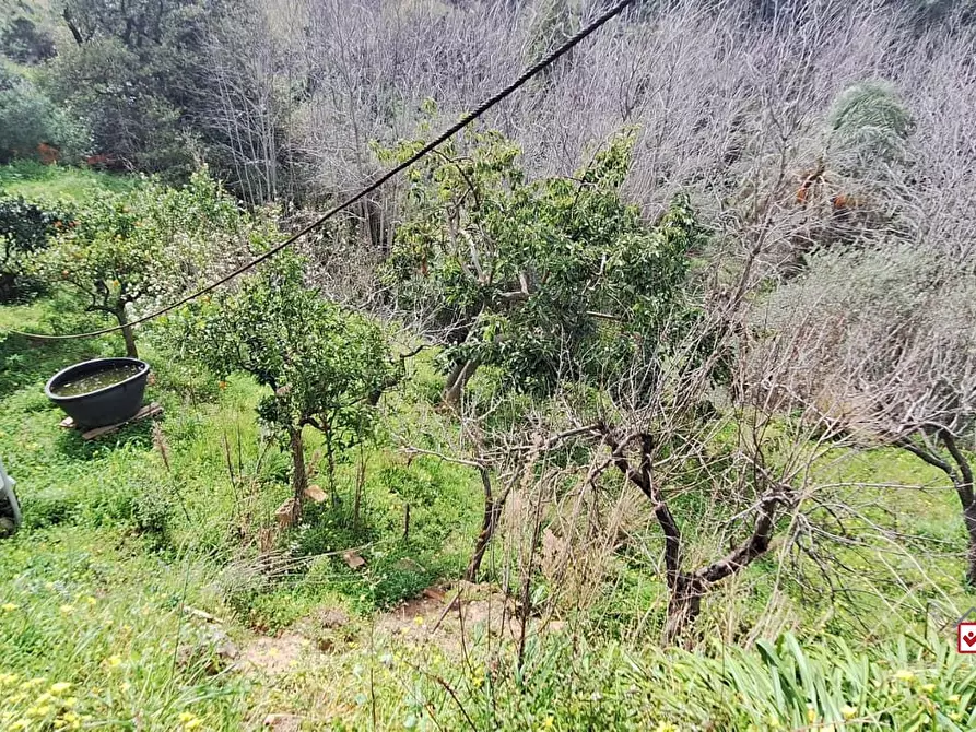 Immagine 9 di Terreno edificabile in vendita  a Rometta
