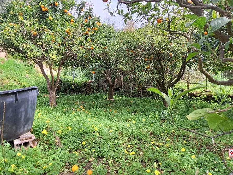 Immagine 2 di Terreno edificabile in vendita  a Rometta