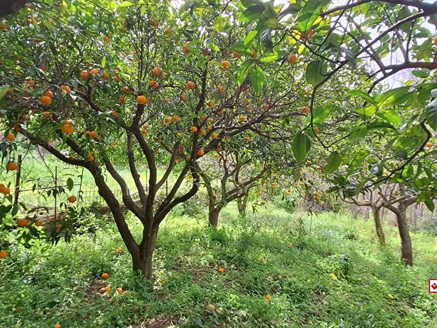Immagine 1 di Terreno edificabile in vendita  a Rometta