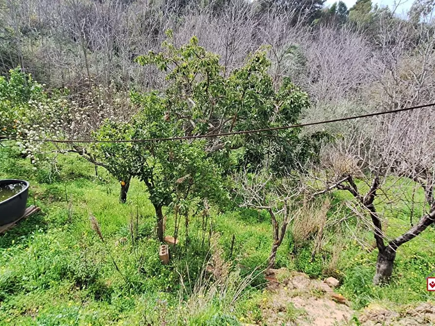 Immagine 10 di Terreno edificabile in vendita  a Rometta