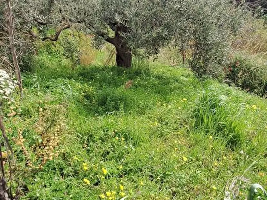 Immagine 5 di Terreno edificabile in vendita  a Rometta