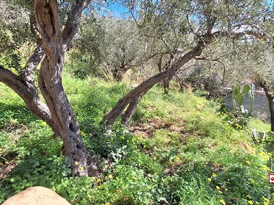 Immagine 6 di Terreno edificabile in vendita  a Messina