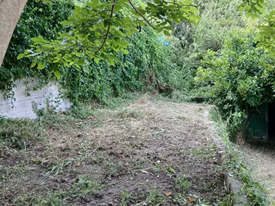 Immagine 5 di Terreno edificabile in vendita  a Rometta