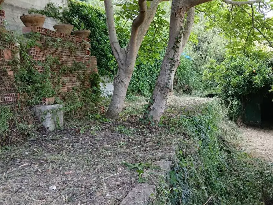 Immagine 2 di Terreno edificabile in vendita  a Rometta
