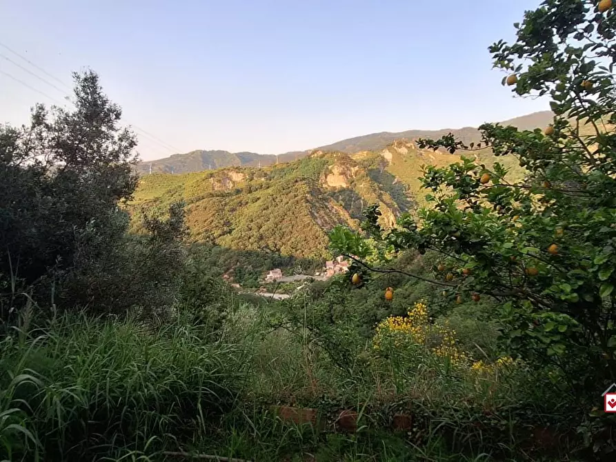 Immagine 4 di Terreno edificabile in vendita  a Rometta