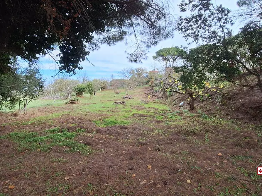 Immagine 10 di Terreno edificabile in vendita  a Messina