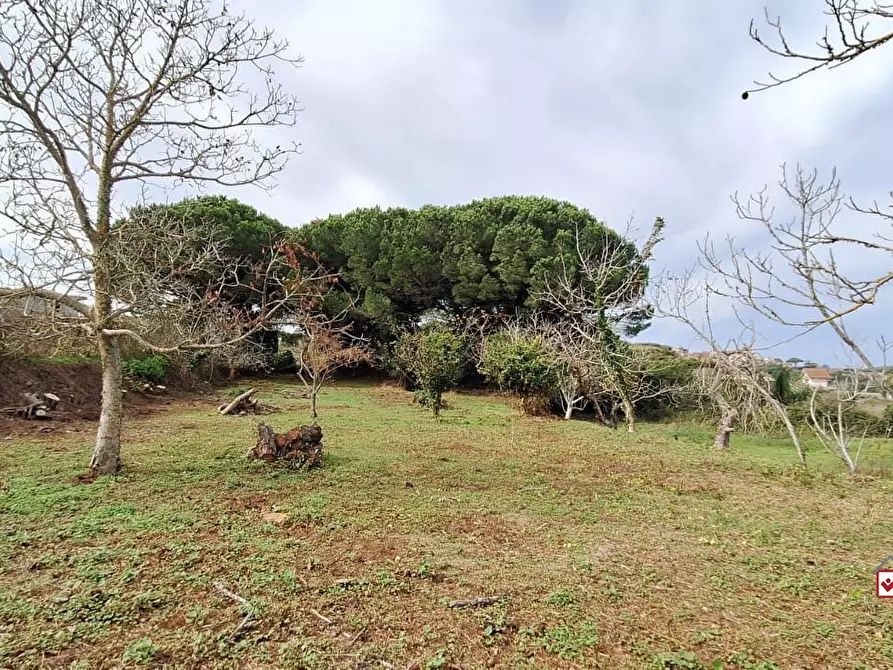 Immagine 6 di Terreno edificabile in vendita  a Messina