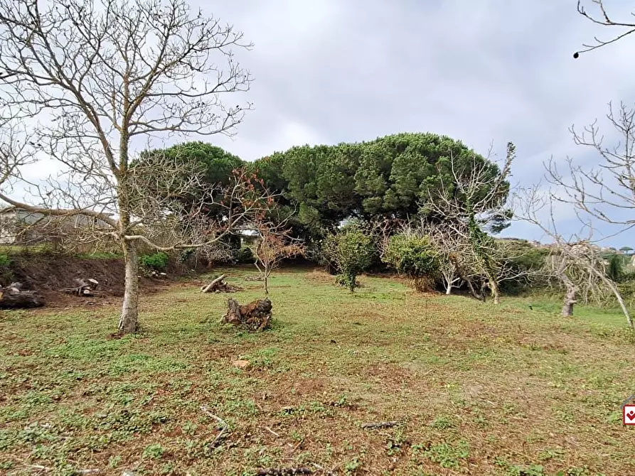 Immagine 9 di Terreno edificabile in vendita  a Messina