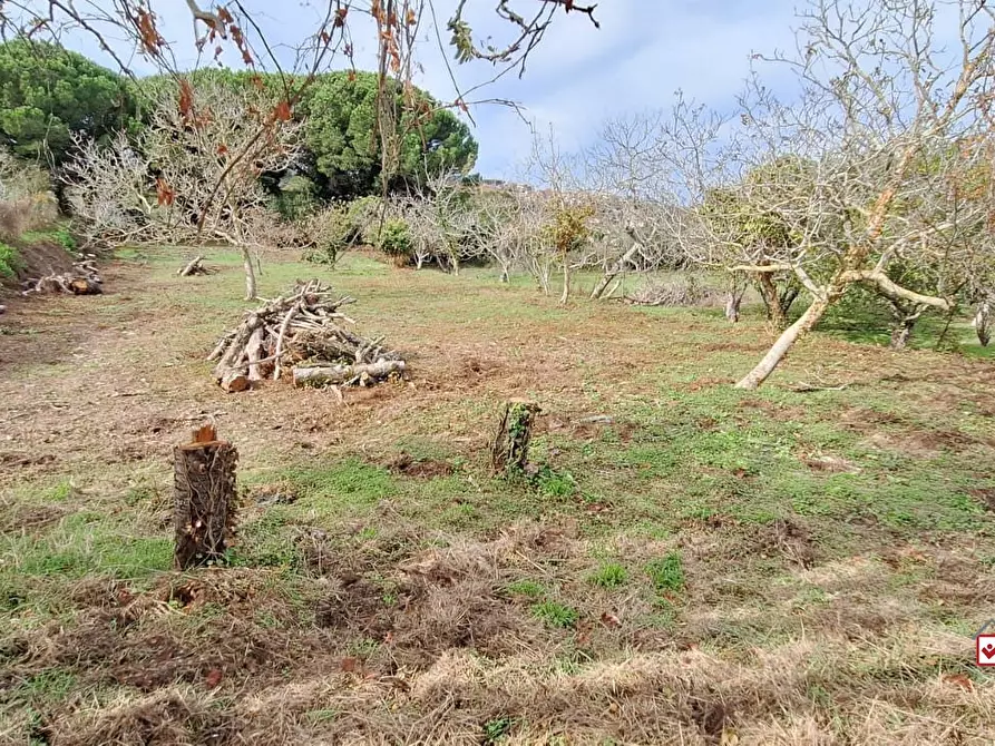 Immagine 5 di Terreno edificabile in vendita  a Messina