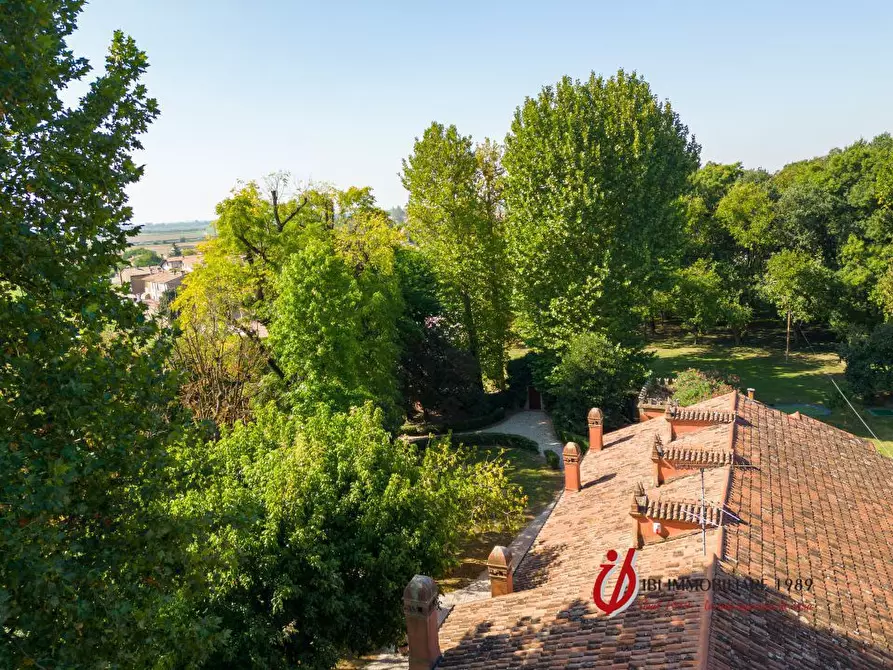 Immagine 7 di Villa in vendita  a San Bellino