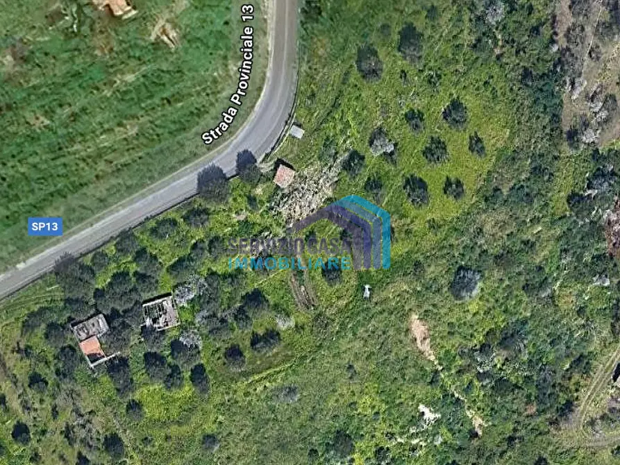 terreno in vendita a Gallodoro