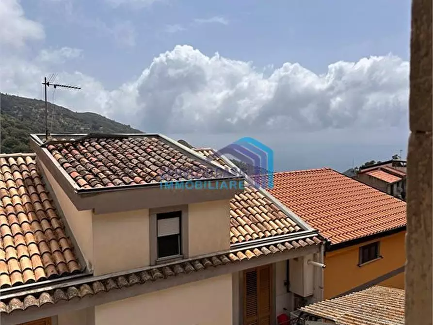 Immagine 2 di Villa in vendita  a Gallodoro