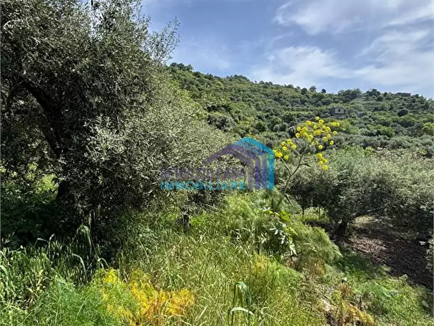 Immagine 9 di Terreno edificabile in vendita  a Fiumedinisi