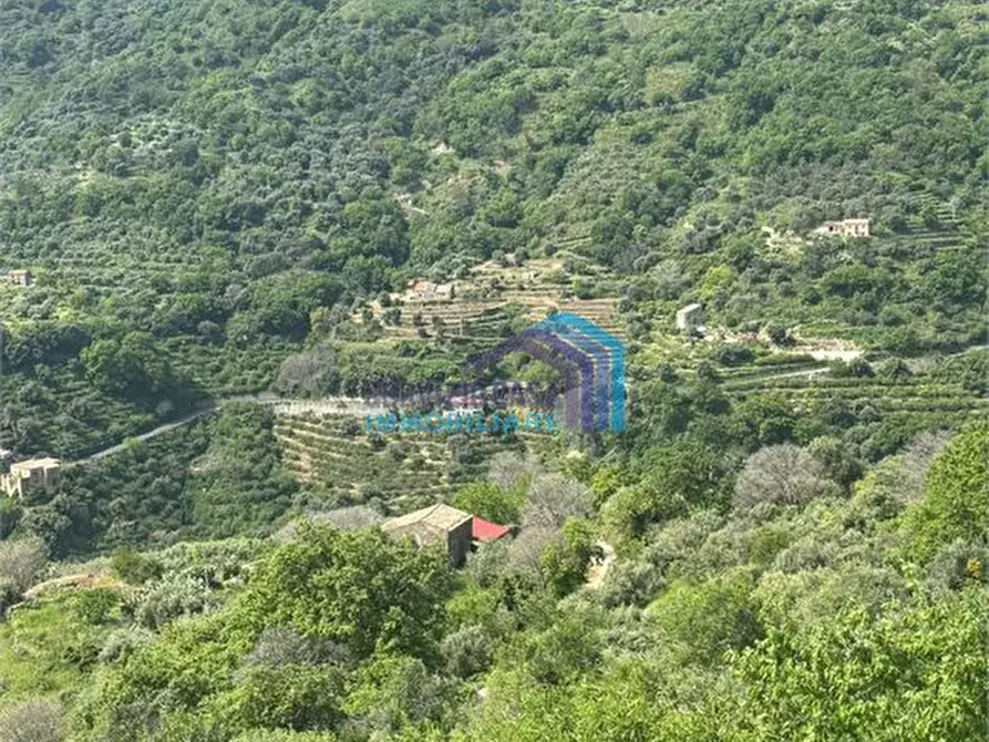 Immagine 1 di Terreno edificabile in vendita  a Fiumedinisi